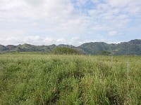 View from horse trail