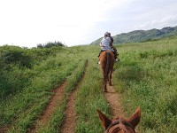 View from horse trail