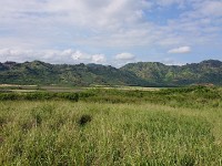 View from horse trail