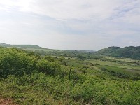 View from horse trail