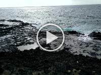 Video of spouting horn