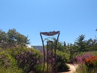 Garden in Sonoma