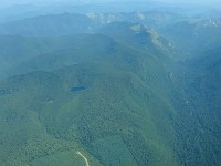 Forest and Lake