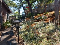 Front Yard at Chez Clements