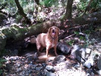 IMG 20240623 114003  Cookie cooling off