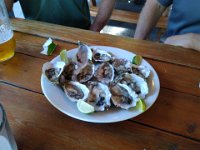 IMG 20250523 165456  My first raw oyster, down the chute
