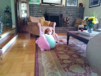 IMG 20250526 190459  Cookie