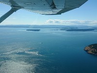Puget Sound