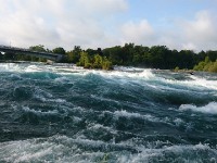 American Rapids