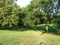 Park on Goat Island