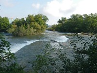 American Rapids