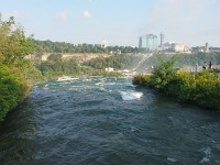 American Rapids