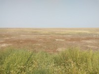 Prairie Dog Mounds at Badlands