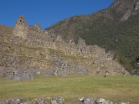 Llamas and Ruins