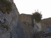 Ruins of Stairs