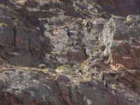 Climbers Climbing to Pods