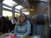 Michelle on Train to Machu Picchu