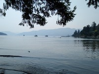 Bay on Vancouver Island