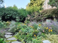 Garden at Fairmont Empress