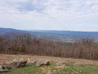 DSC 0094