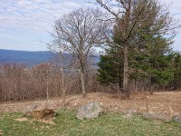 DSC 0096