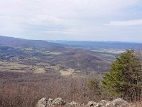DSC 0103