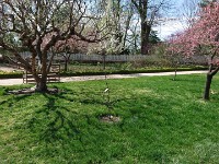 DSC 0134