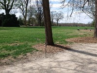 DSC 0141