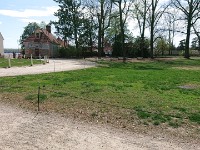 DSC 0142
