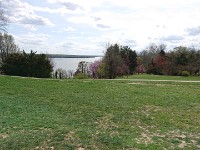 DSC 0154