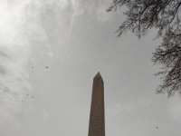 IMG 20250329 130836854