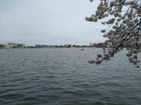 IMG 20250329 141751