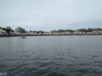 IMG 20250329 142704