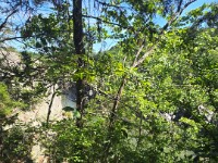 View from Trail