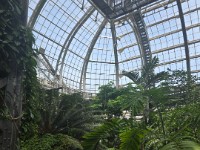 Greenhouse Plants