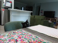 Emma's Cat Jiji Sitting at Table