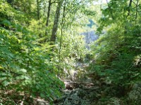View from Bridge