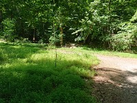 Trail at Great Falls National Park