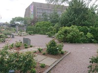 Arboretum in DC