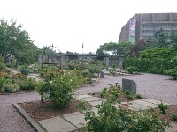 Arboretum