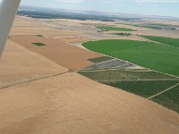 DSC 0275