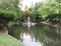 DSC 0289