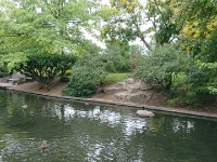 DSC 0290