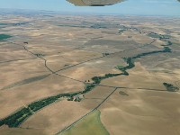DSC 0309